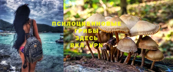 скорость Аркадак