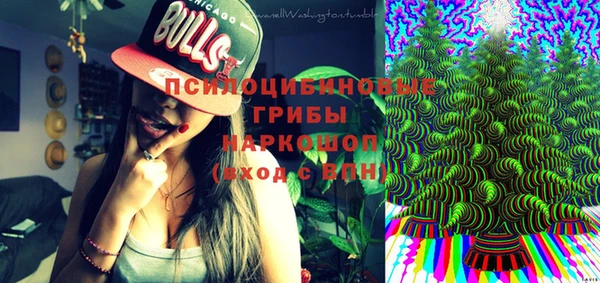 индика Баксан